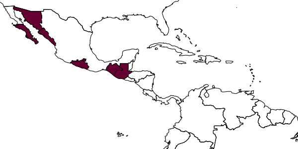 map of Liris infrunitus     Krombein & Gingras, 1984